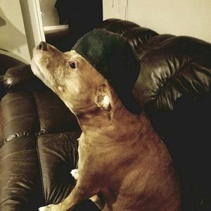 Meet your Posher, Shannon